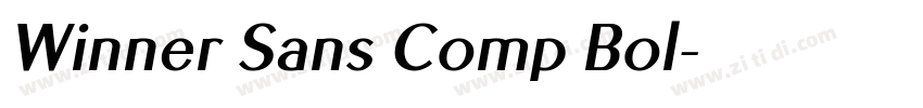Winner Sans Comp Bol字体转换